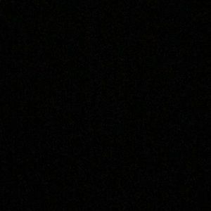 Meet your Posher, Riley